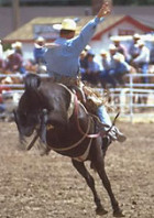 Rodeo in Okeechobee