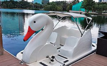 Swan boat on Lake Eola