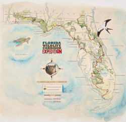 Florida Wildlife Expedition map