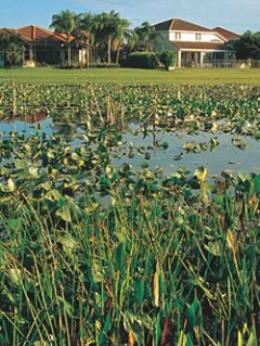 House and wetlands
