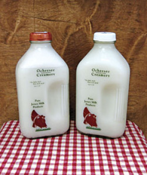 Orcheesee Creamery