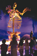 Florida Museum of Natural History