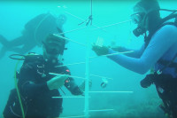 underwater marine lab
