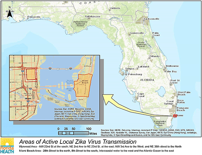 Zika in Florida